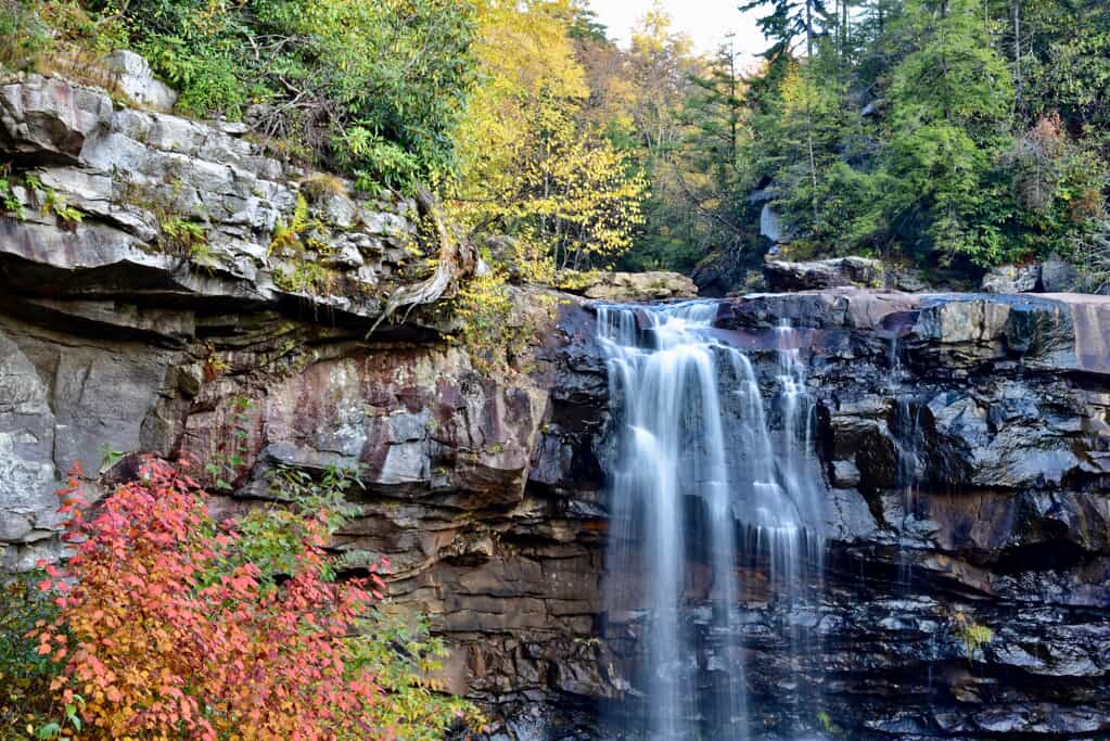 Virginia Waterfall and Woods
